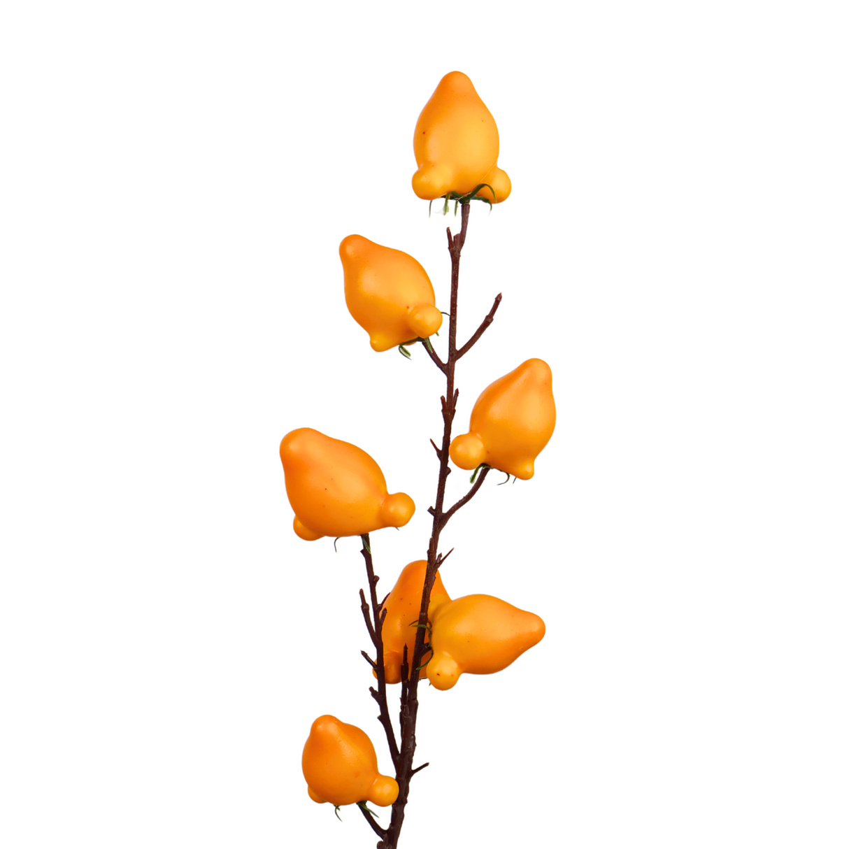 Colorful still life with yellow and orange flowers.
