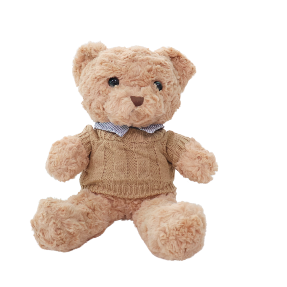Brown Bear Plush
