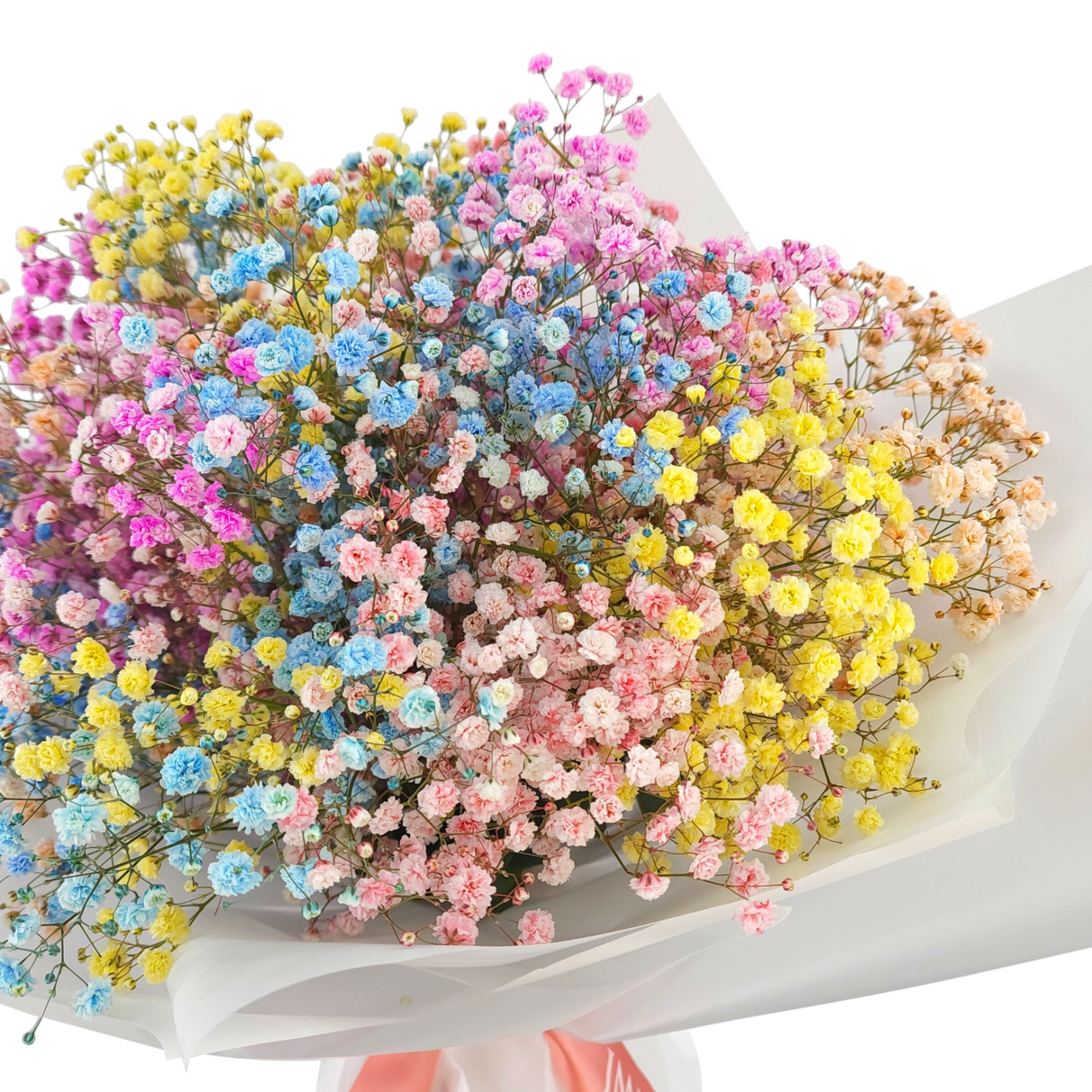 alma Baby Breath Rainbow Bouquet Birthday Flower Bouquet Singapore