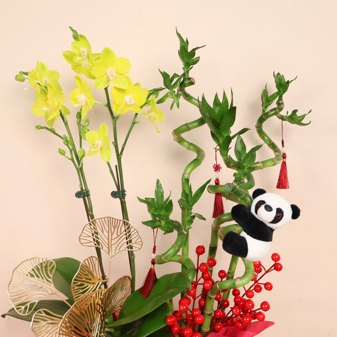 Bamboo Royale (1 Double Stalk) - Orchid Phalaenopsis