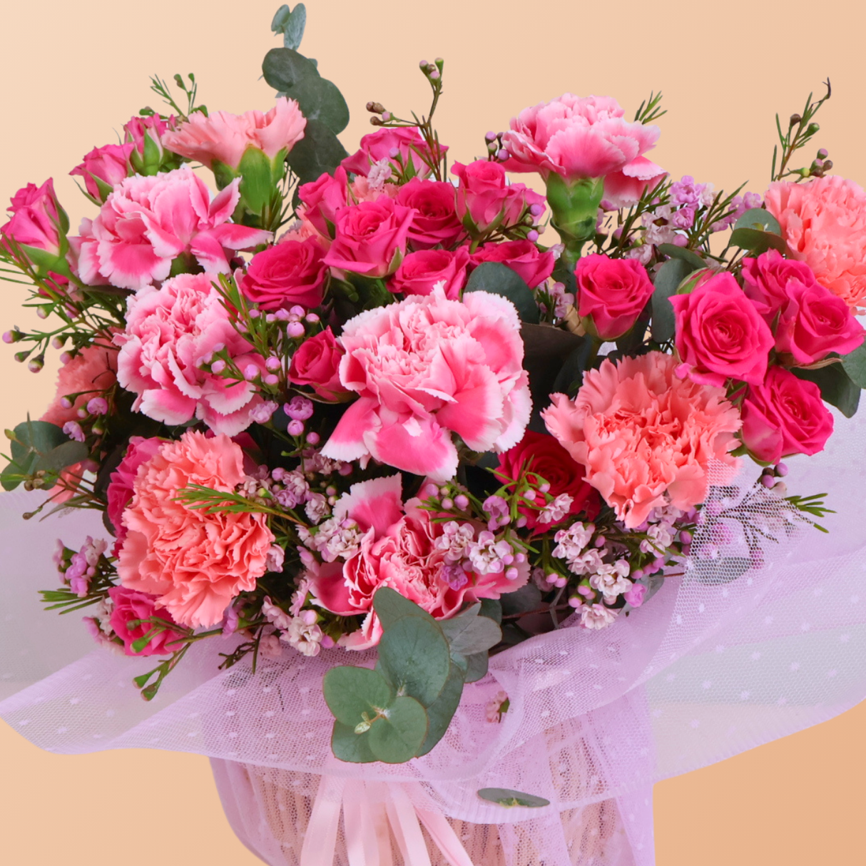 Berry Bloom (12 Carnations)