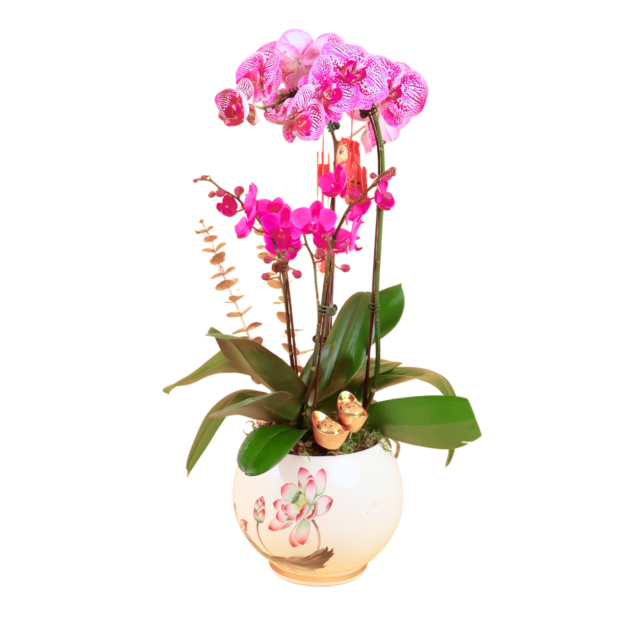 Blissful Petals (1 Double & 2 Single Stalks) - Orchid Phalaenopsis