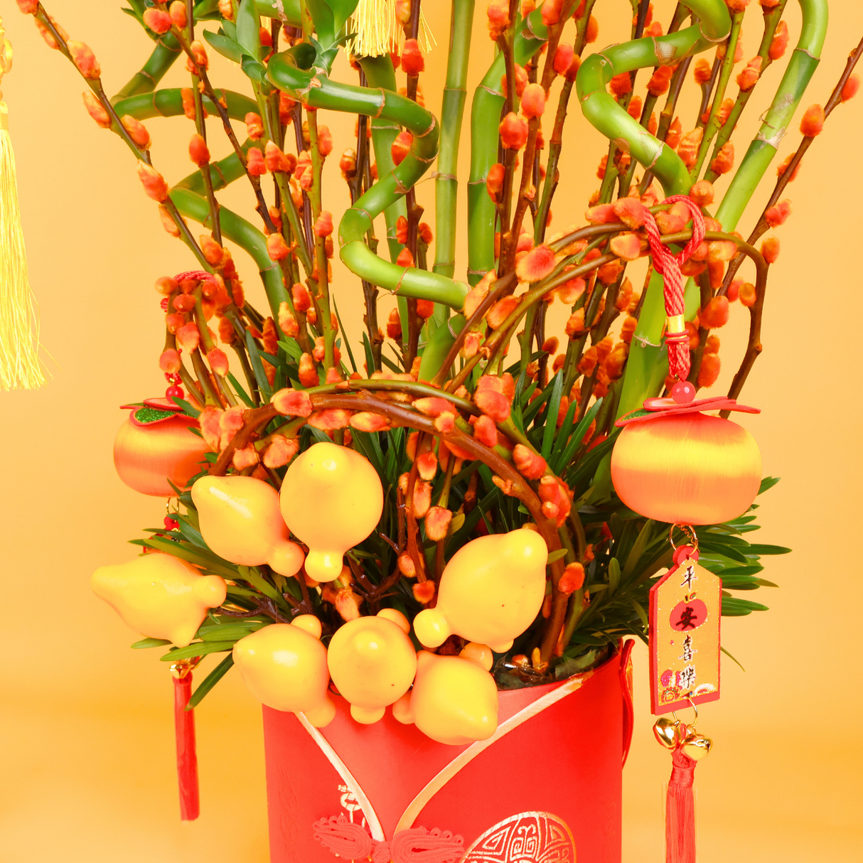 Blooming Bamboo - Lucky Bamboo