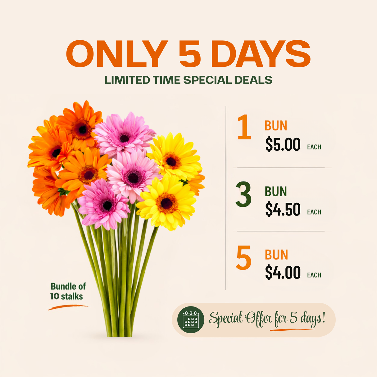 Gerbera (Malaysia)