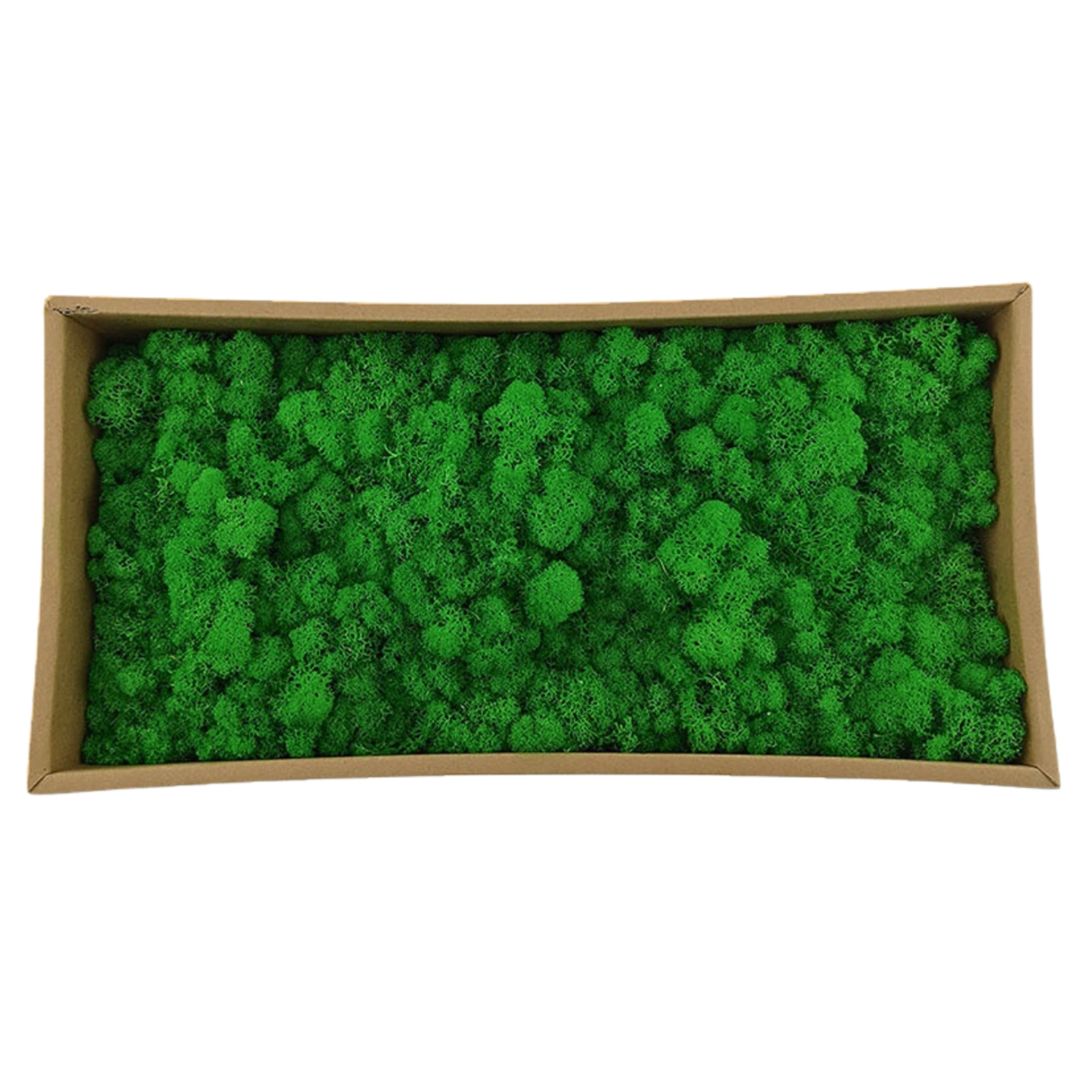 Reindeer Moss (500g)