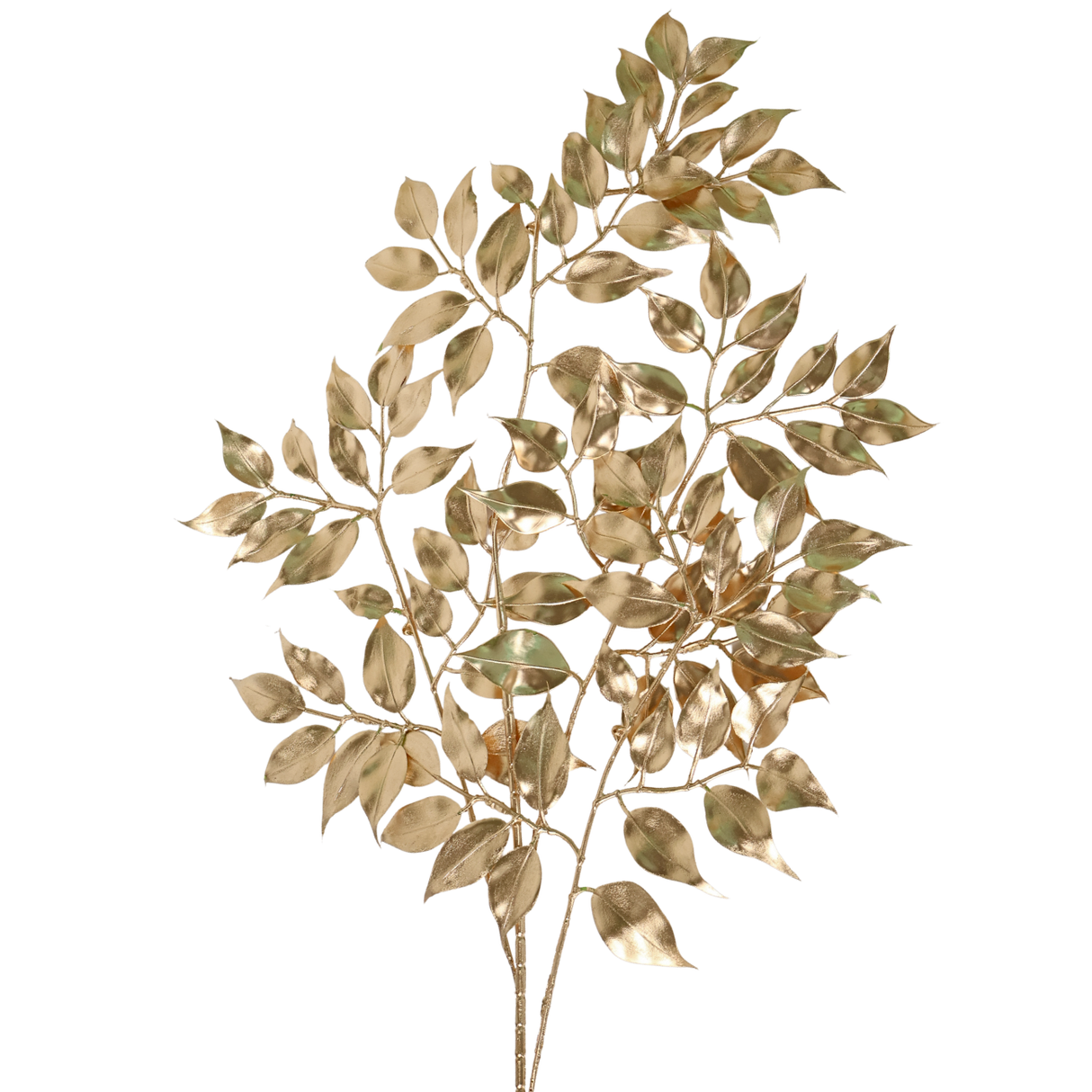 Artificial Gold Ruscus 80cm