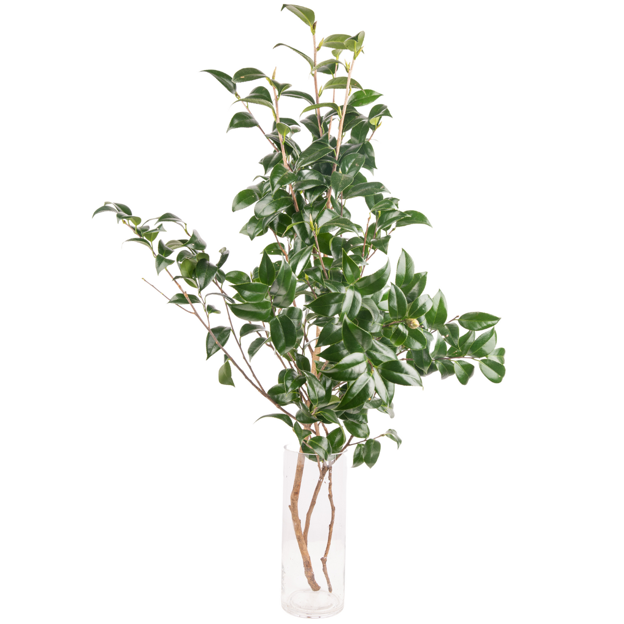 Blue and yellow flower bouquet in basket.