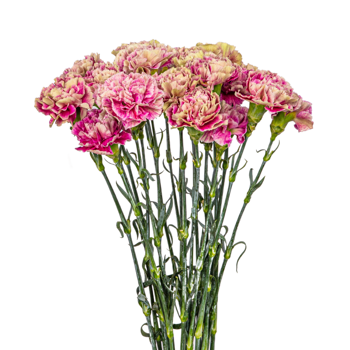 Pink flower bouquet in vase.