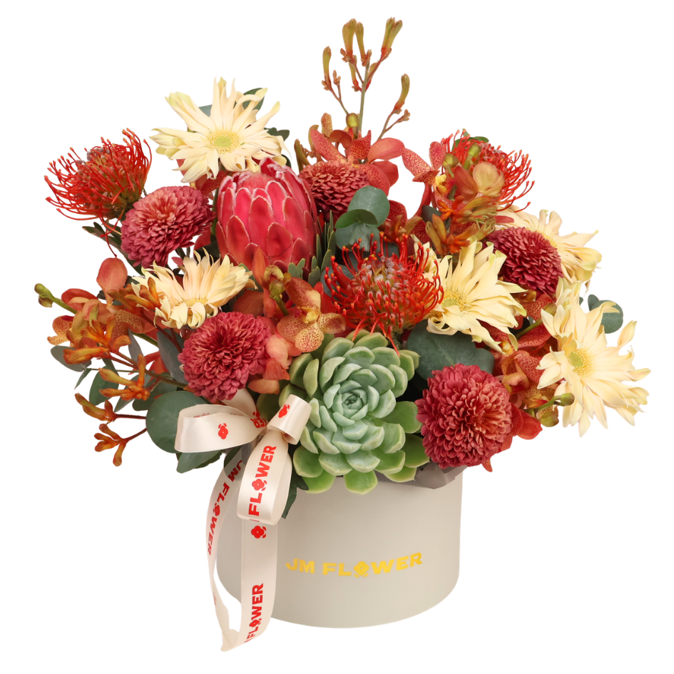Charlotte (Protea, Echeveria, Gerberas) - Flower Box