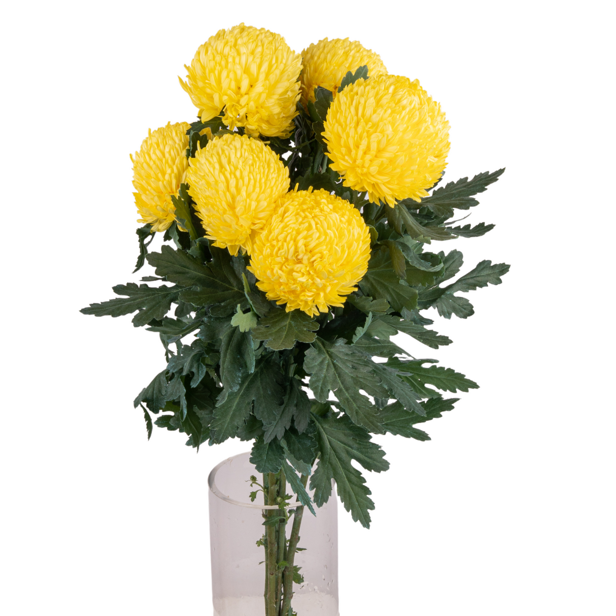 Yellow flower bouquet in vase.