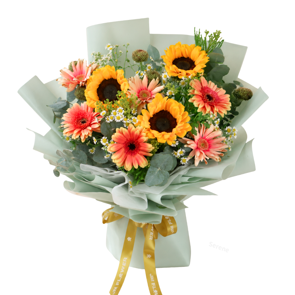 Coralie (10 Gerbera) - Flower Bouquet