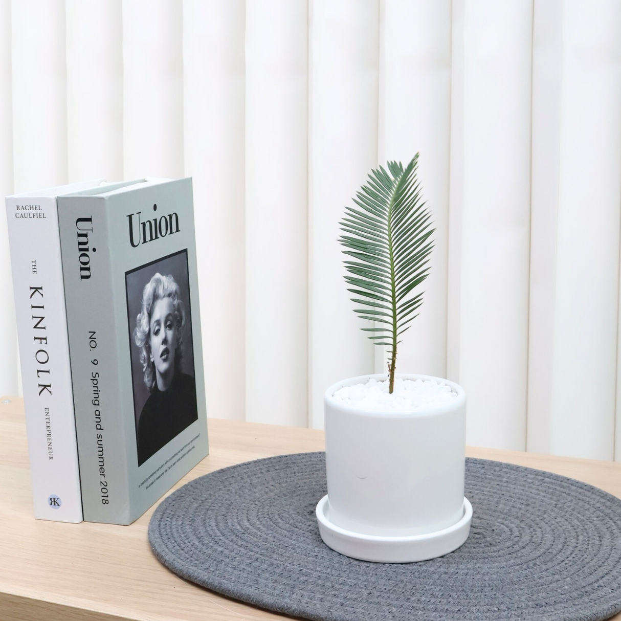Cycas Revoluta in Ceramic Pot