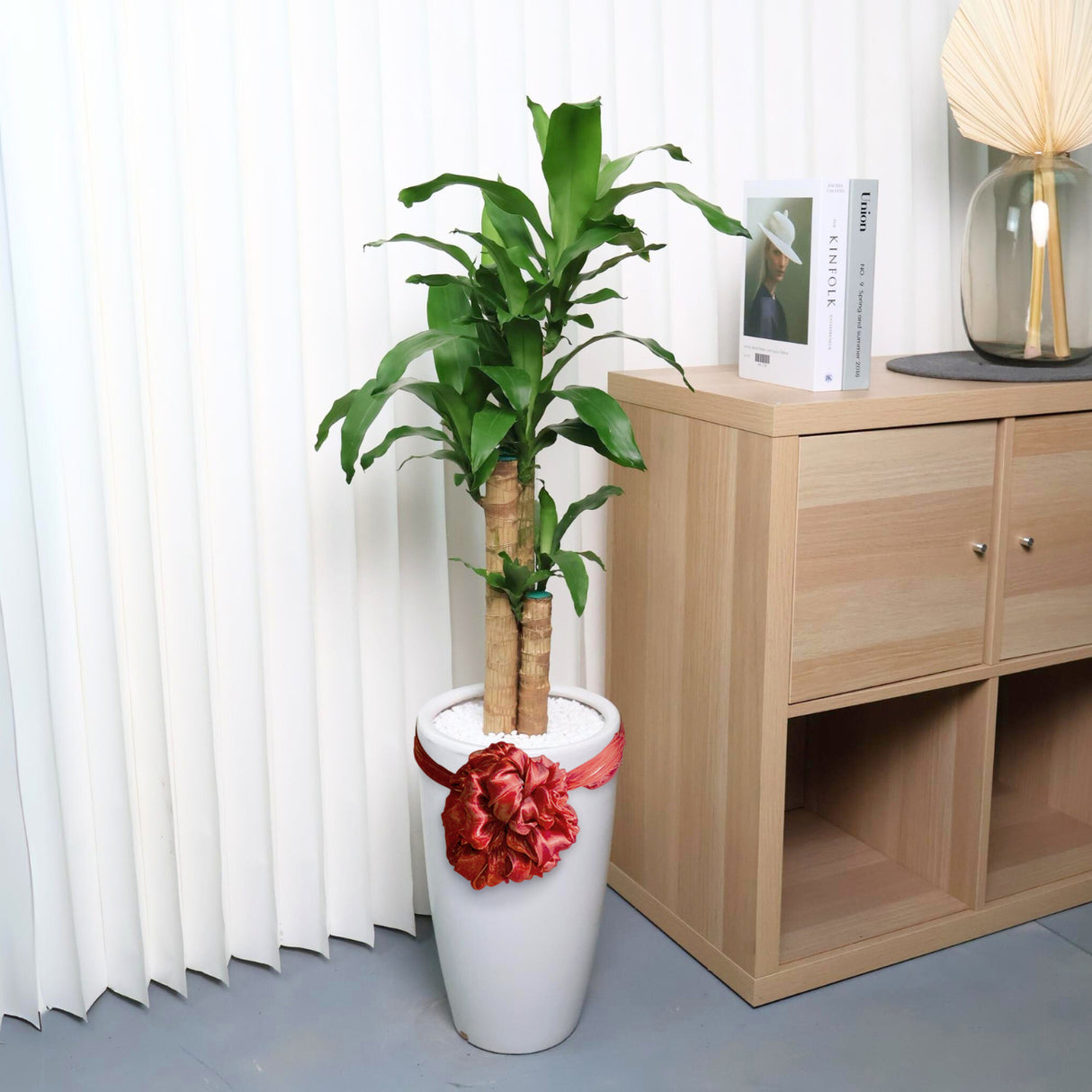 Houseplant in flowerpot on cabinetry.