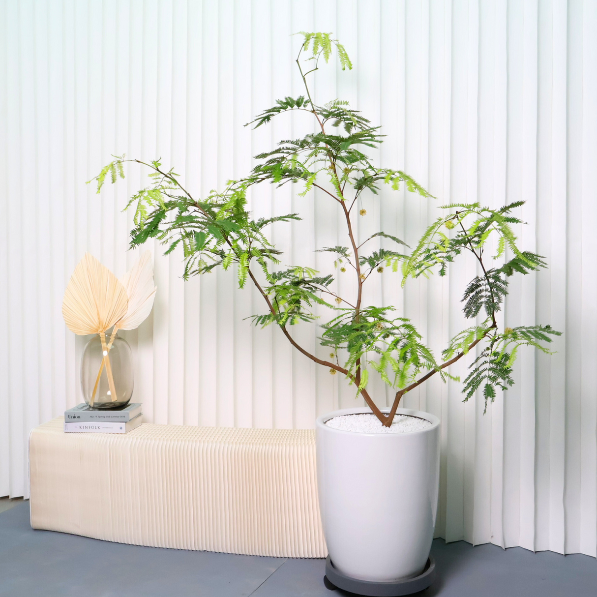 Everfresh Tree in Ceramic Pot (1.75m)