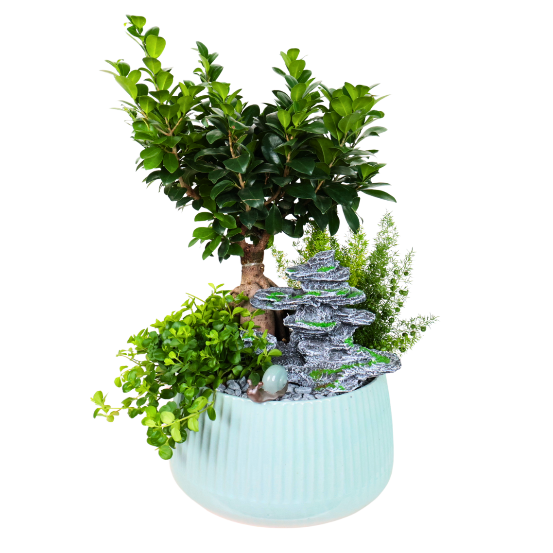 Bonsai tree in flowerpot with geraniums.