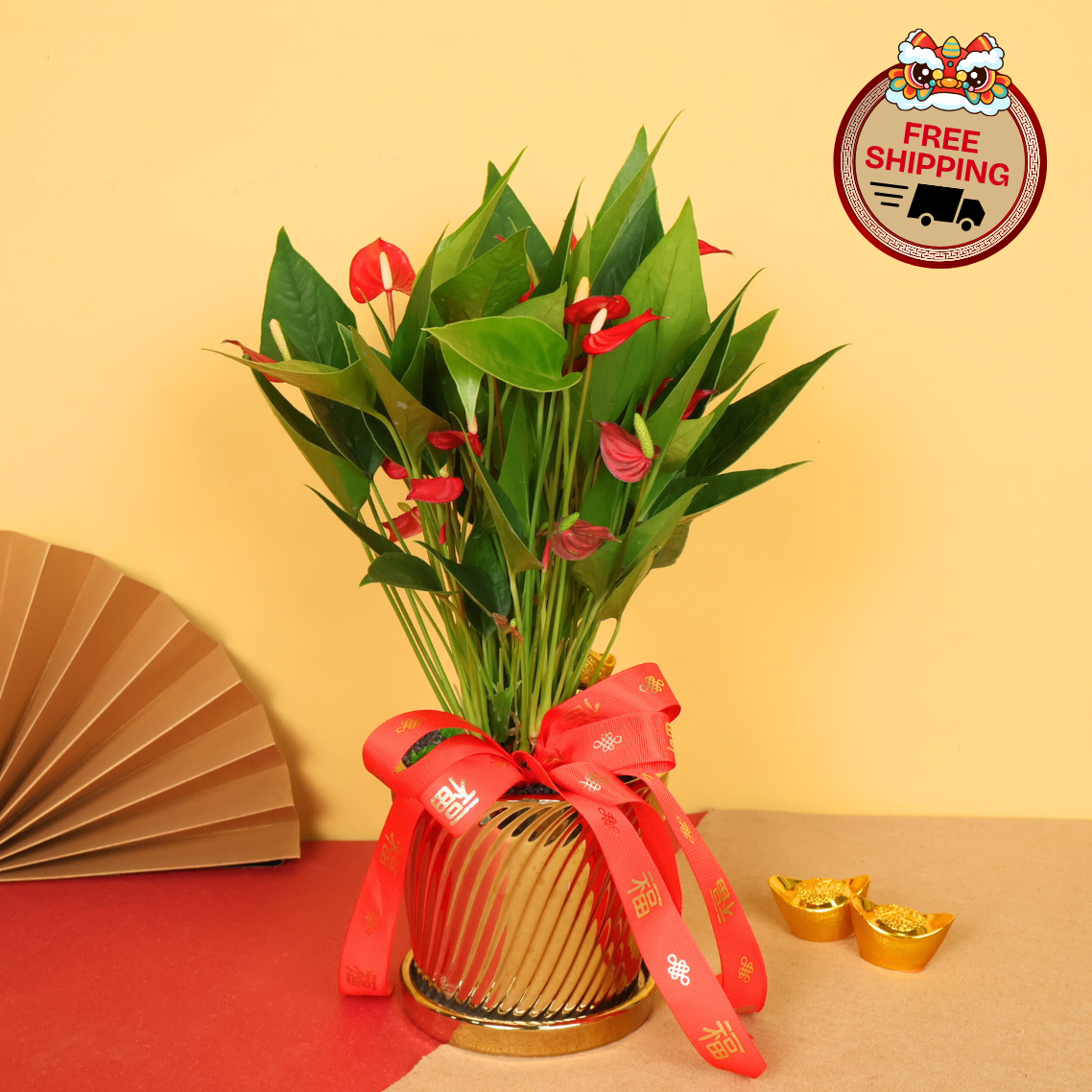 Flora Fortune (Anthurium) - CNY Plant