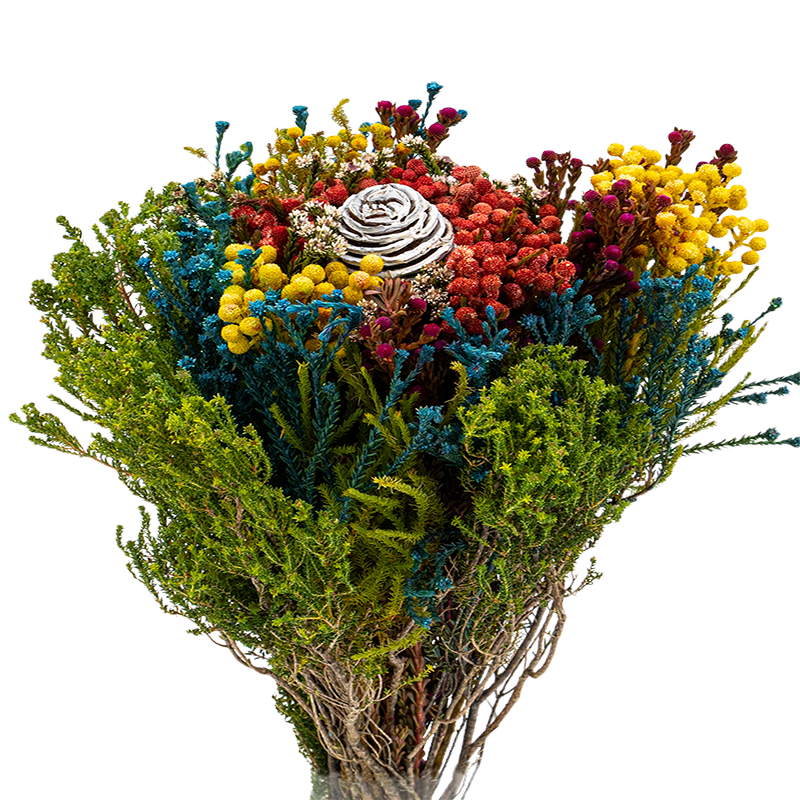 Hunter Mix (South Africa)