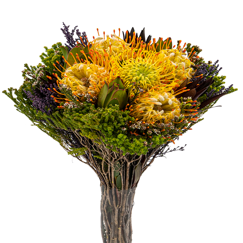 Hunter Mix (South Africa)