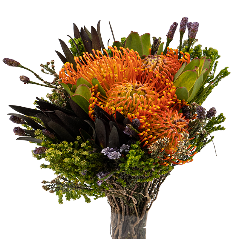 Hunter Mix (South Africa)