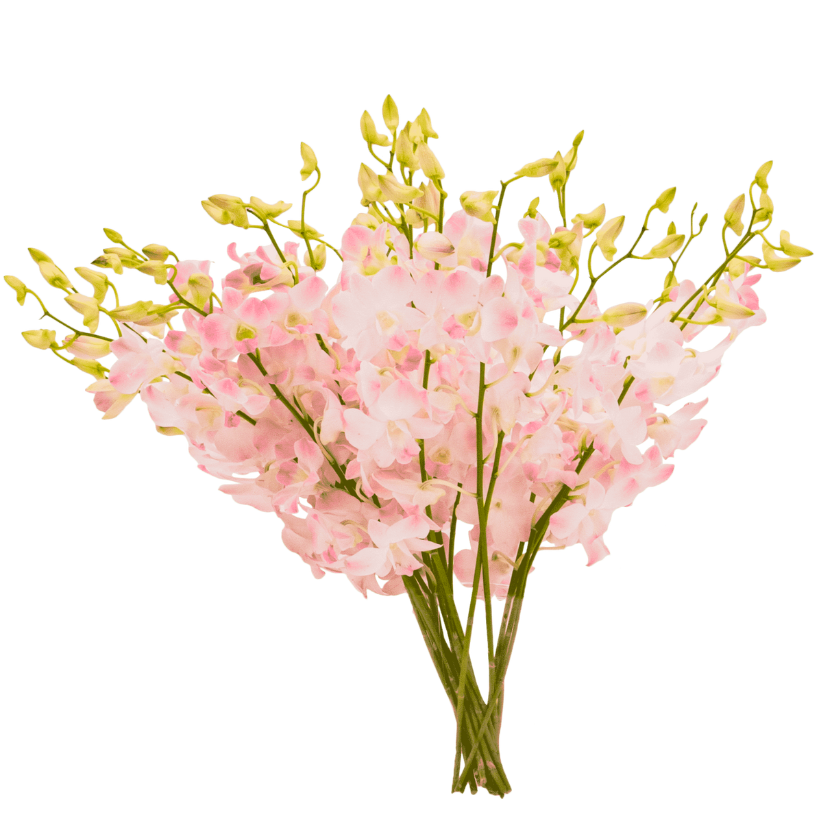 Pink hydrangea flower bouquet in vase.