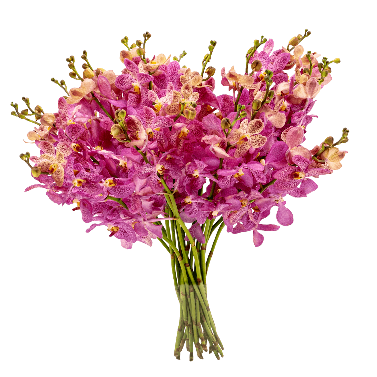 Pink and purple artificial flower bouquet.