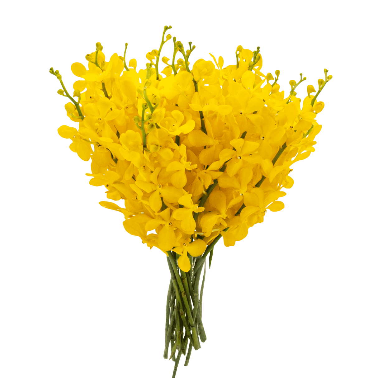 Yellow artificial flower bouquet in vase.