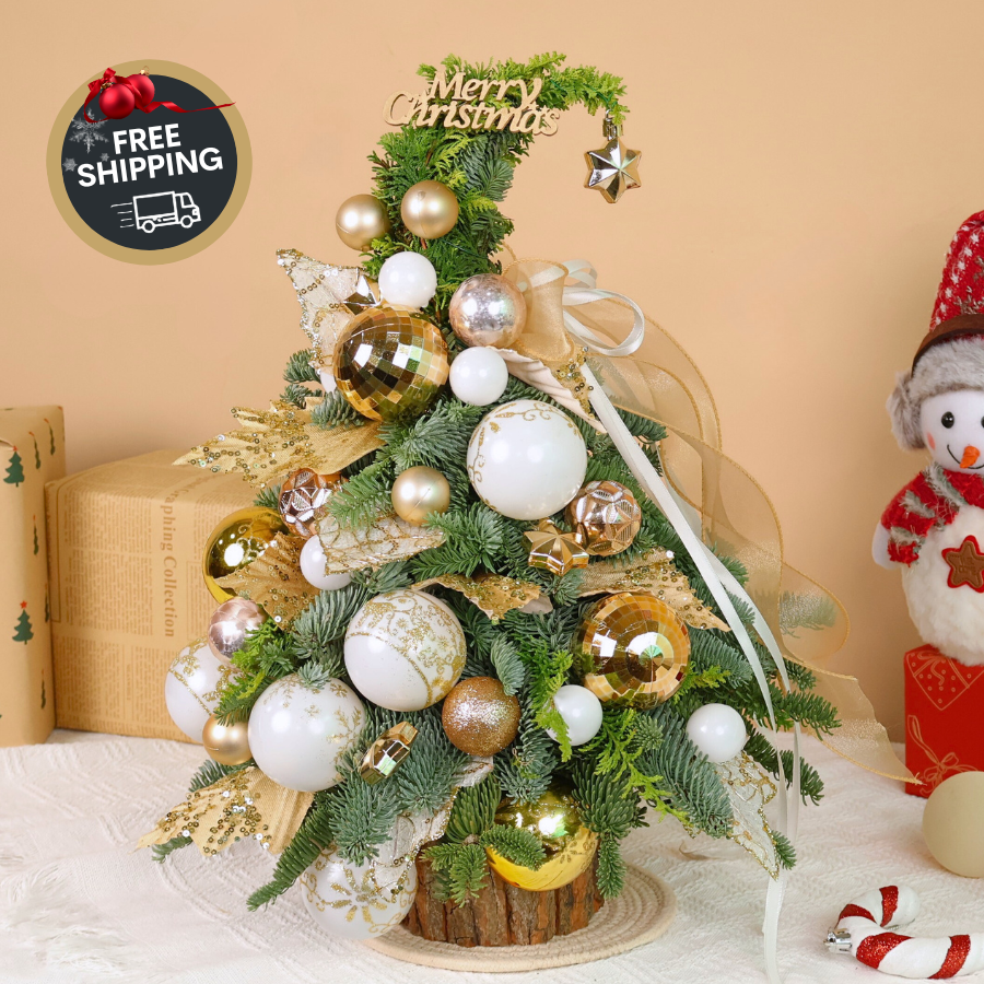 Golden Hearth - Fresh Mini Christmas Tree