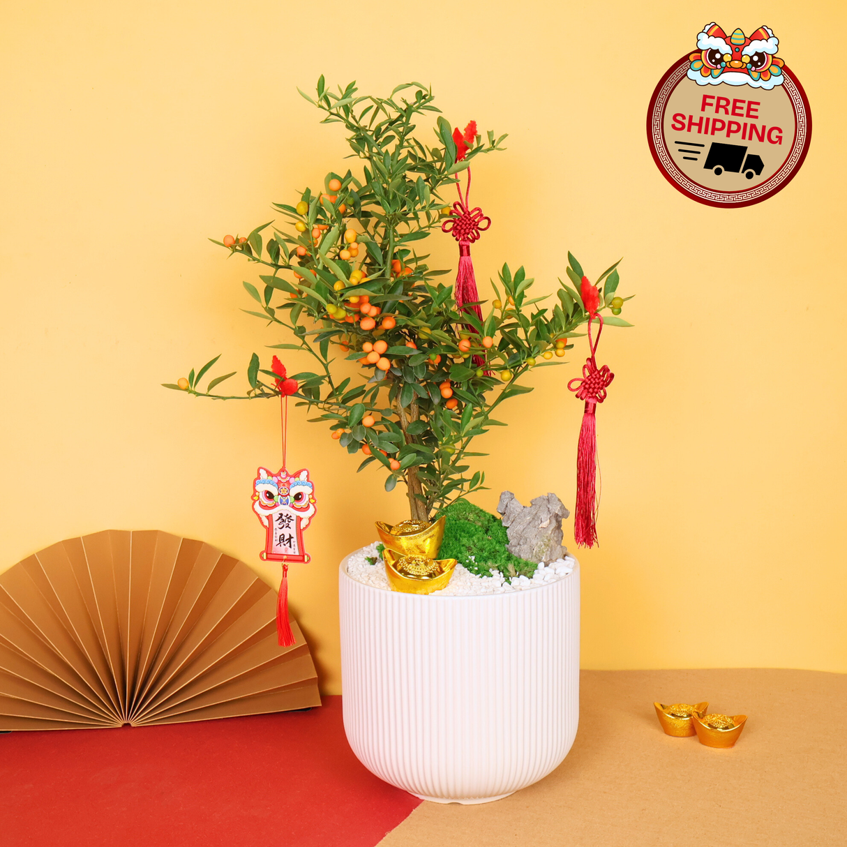 Golden Charm (Mini Kumquat 金豆) - CNY Plant