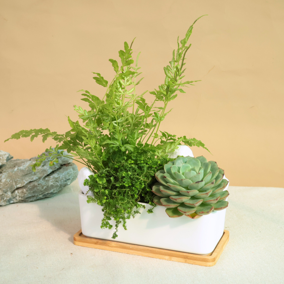 Houseplant in flowerpot with floral design.