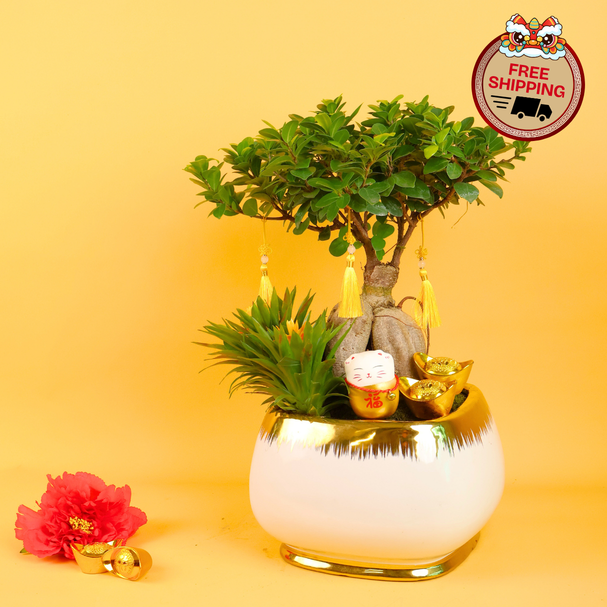 Harmony Gold (Bonsai) - CNY Plant