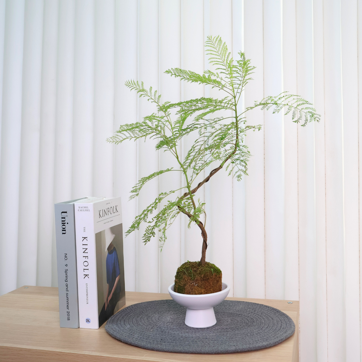 Kinfolk Union Spring Summer 2018 Flowerpot Houseplant Sensitive plant
