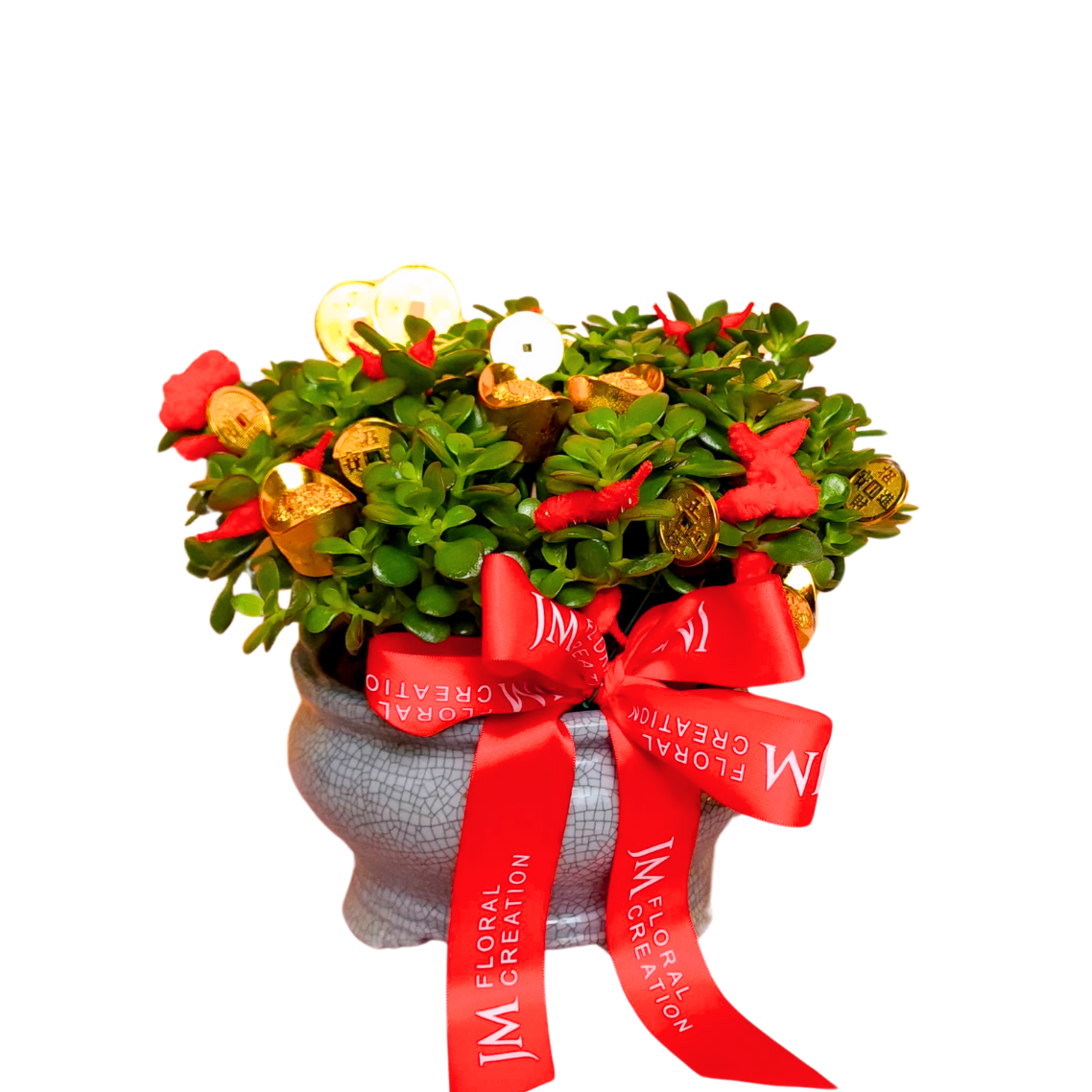 Jade Abundance - CNY Plant