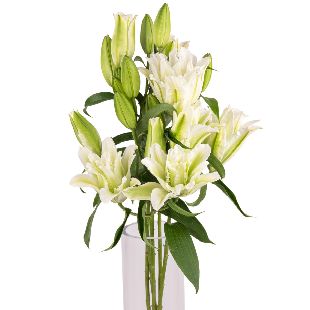 Lily Double Petals 4 Head (China)