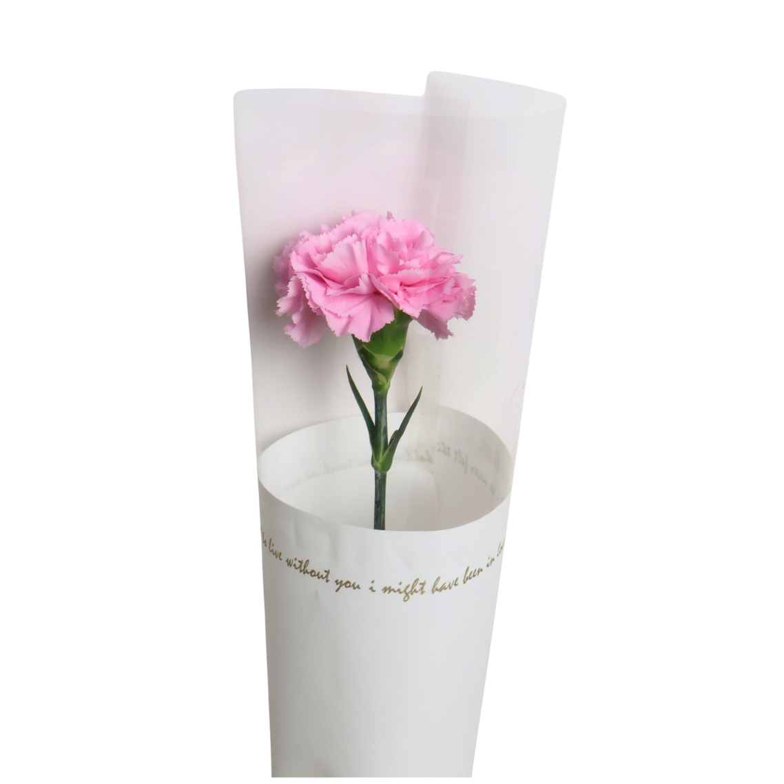 Carnation Single Stalk Bouquet