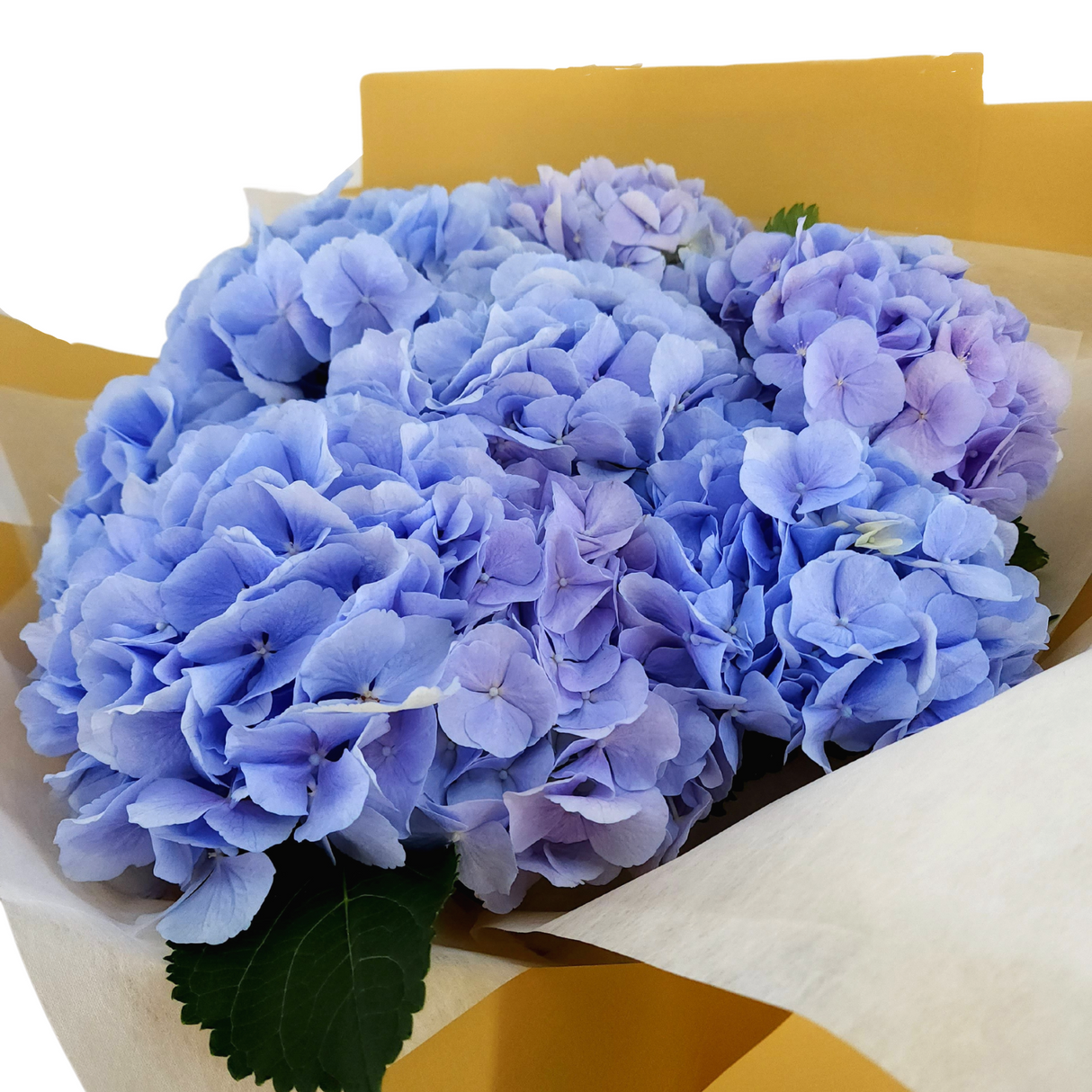 luisa Blue Hydrangeas Giant Bouquet Birthday Flower Bouquet Singapore