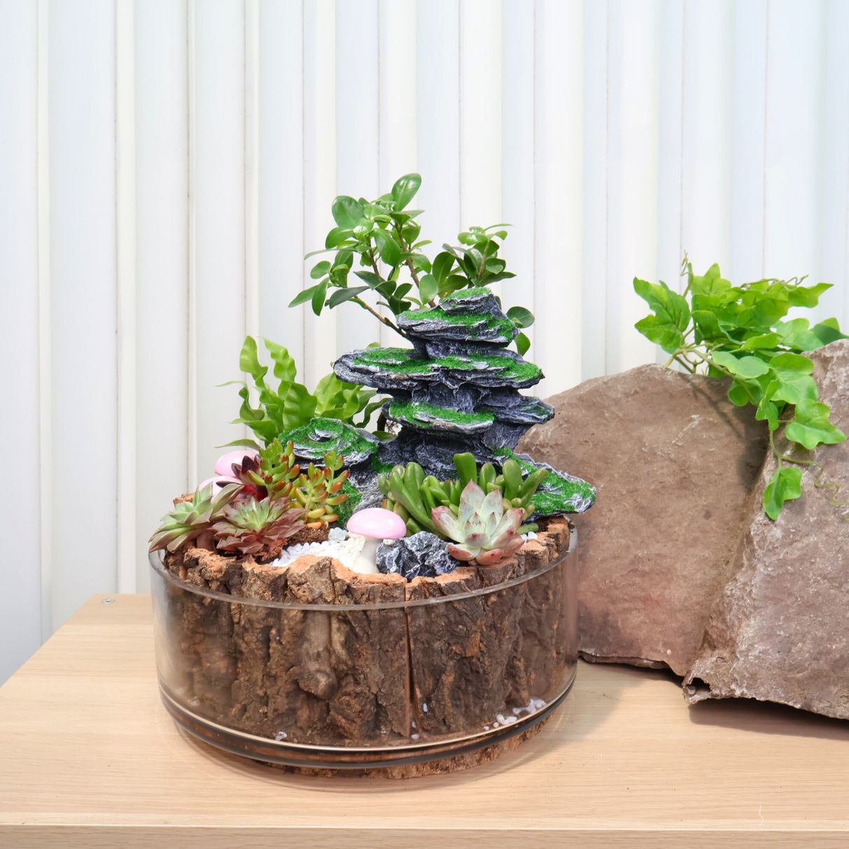 Succulent plant in flowerpot.