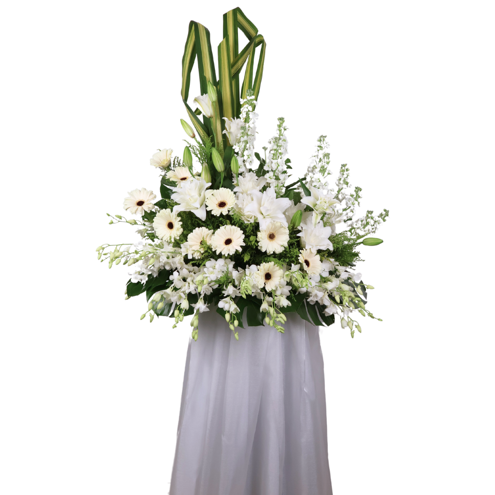 Bonsai tree in flowerpot.