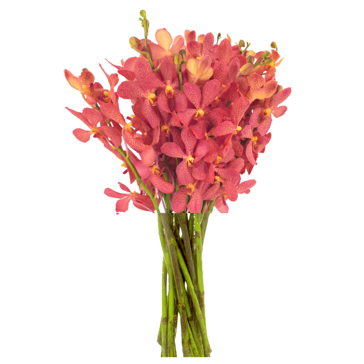 Pink flower bouquet with artificial flowers and plant stems.