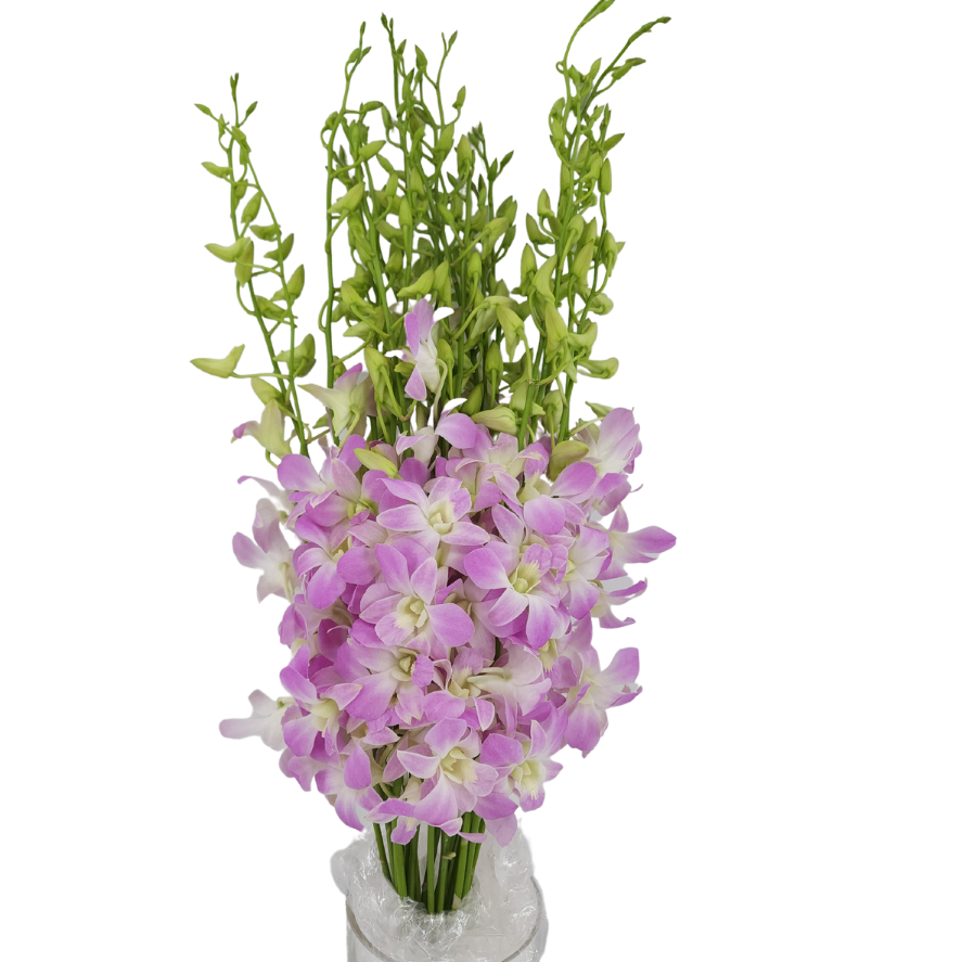 Purple flower bouquet in vase.