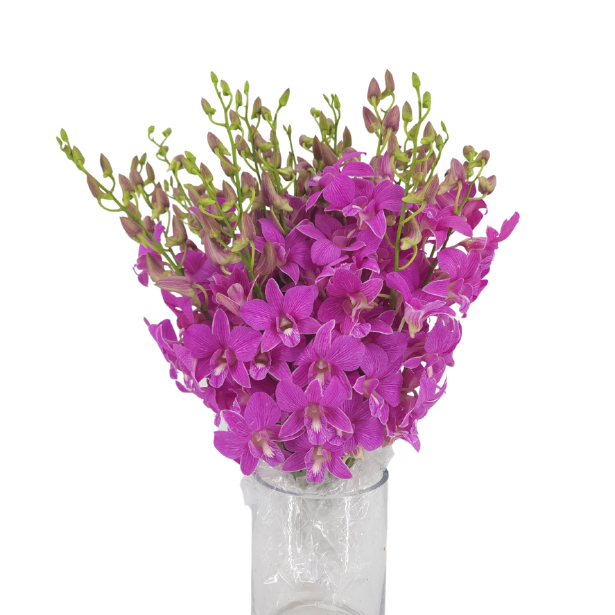 Pink and purple flower bouquet in vase.