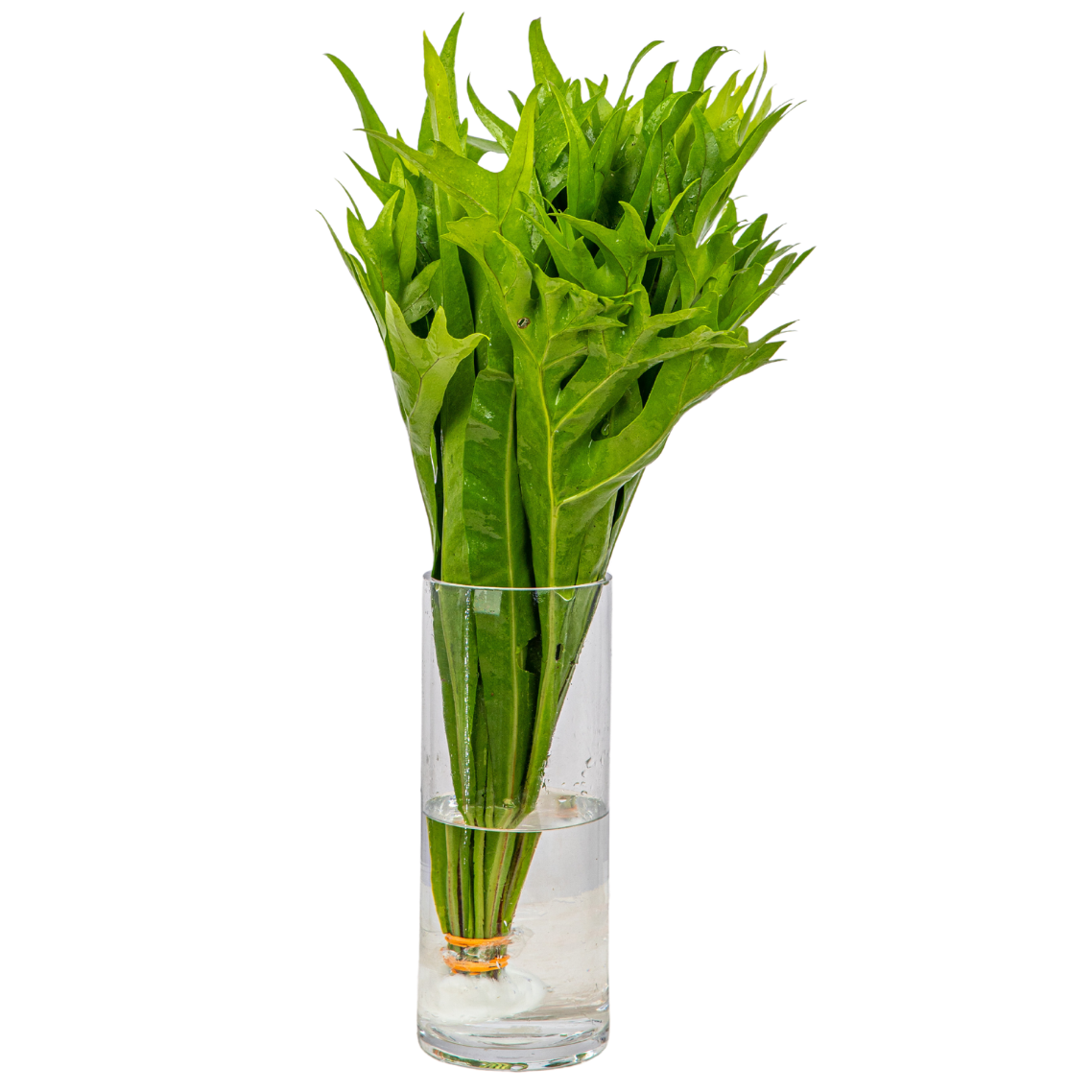 Yellow common sunflower bouquet in basket.