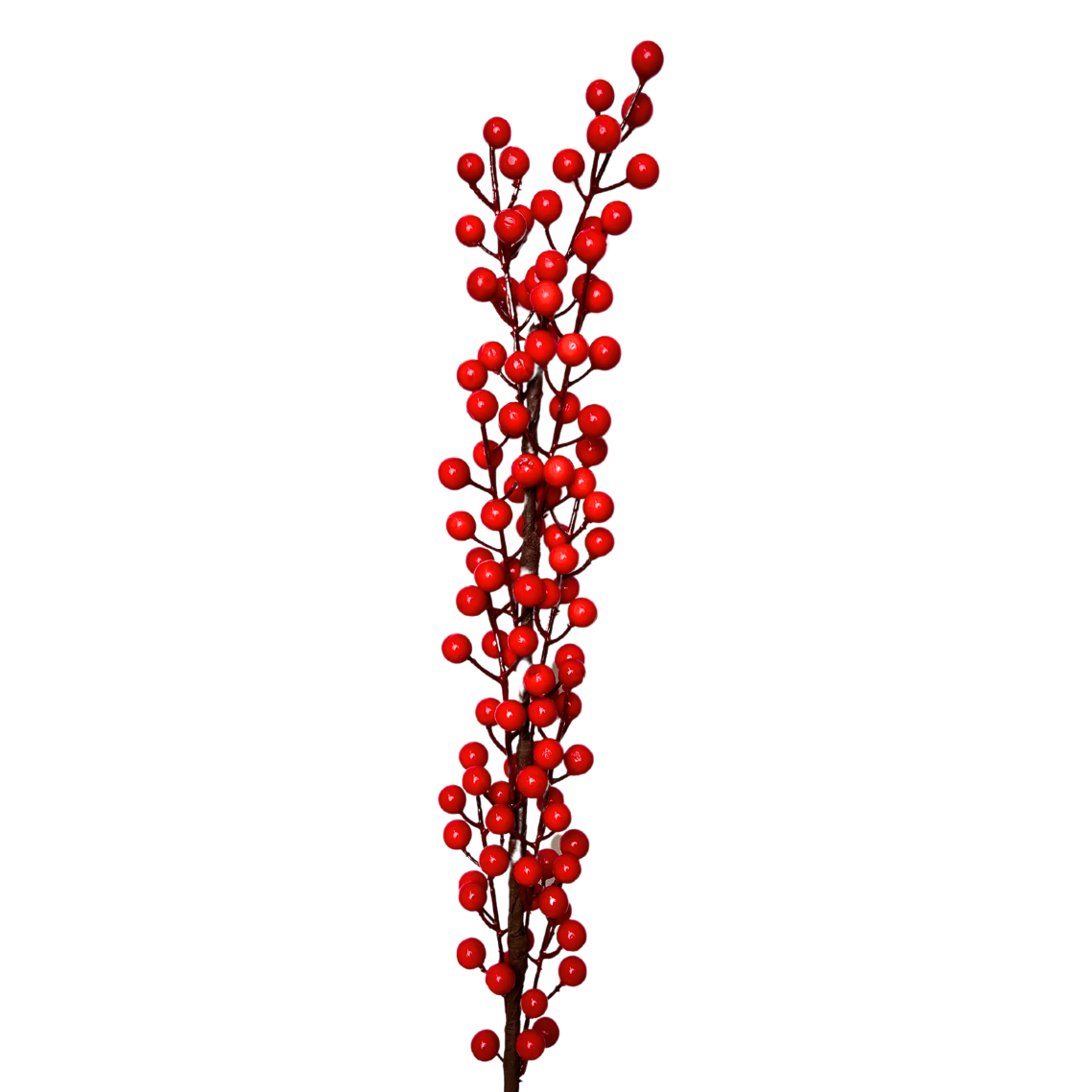 Assorted red berries and currants on display.