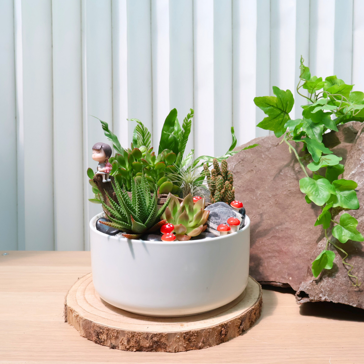 Succulent plant in flowerpot.