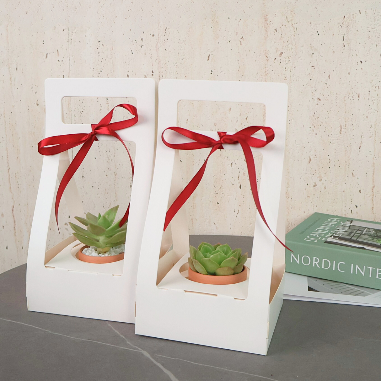 Mini Succulent Gift (Set of 2)