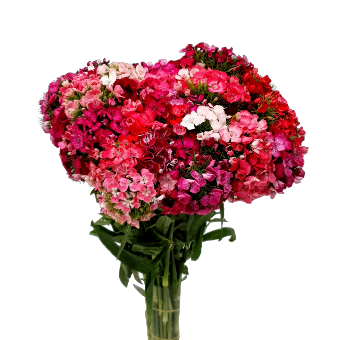 Colorful flower bouquet in vase.