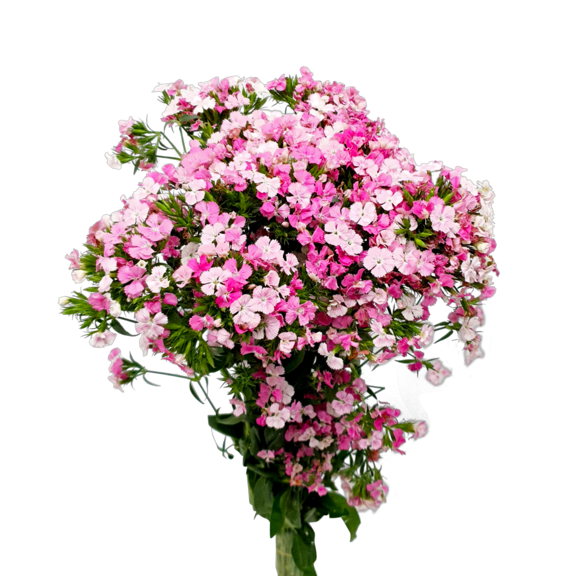 Pink artificial flower bouquet.