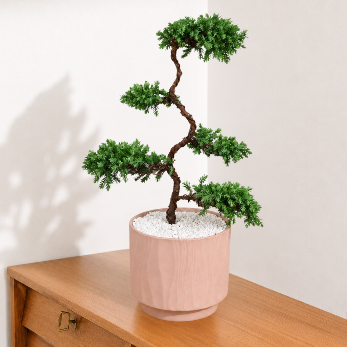 Juniper Bonsai in Ceramic Pot