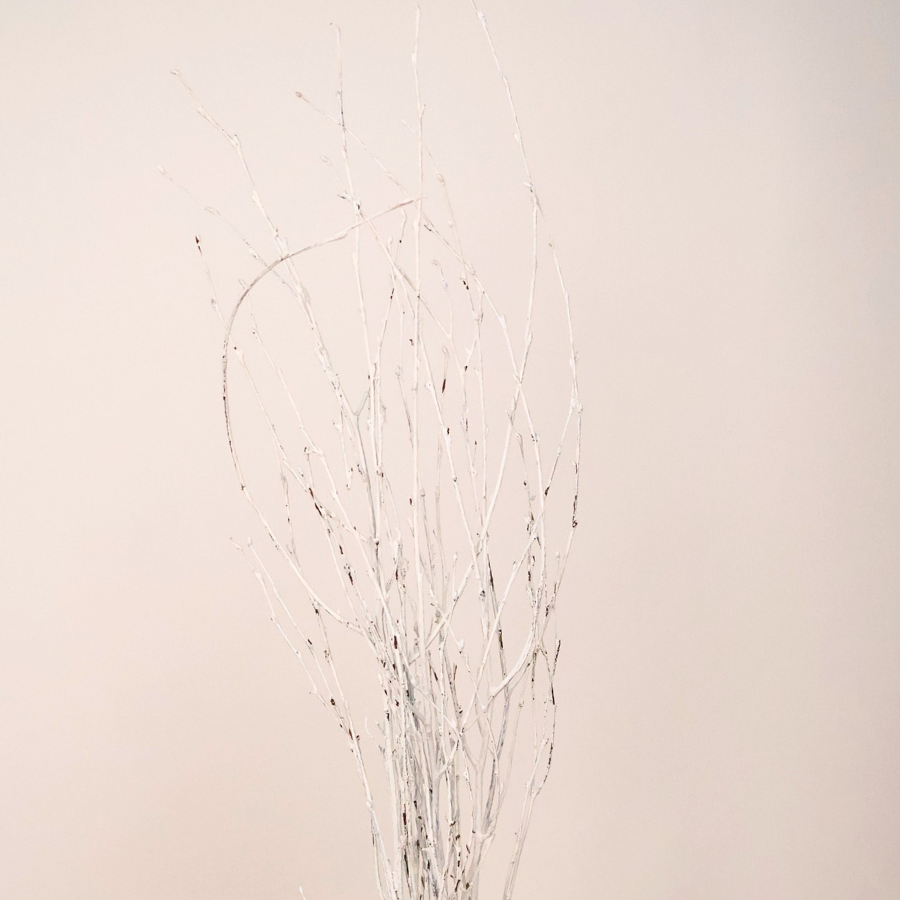 Huckie Berry (Holland)