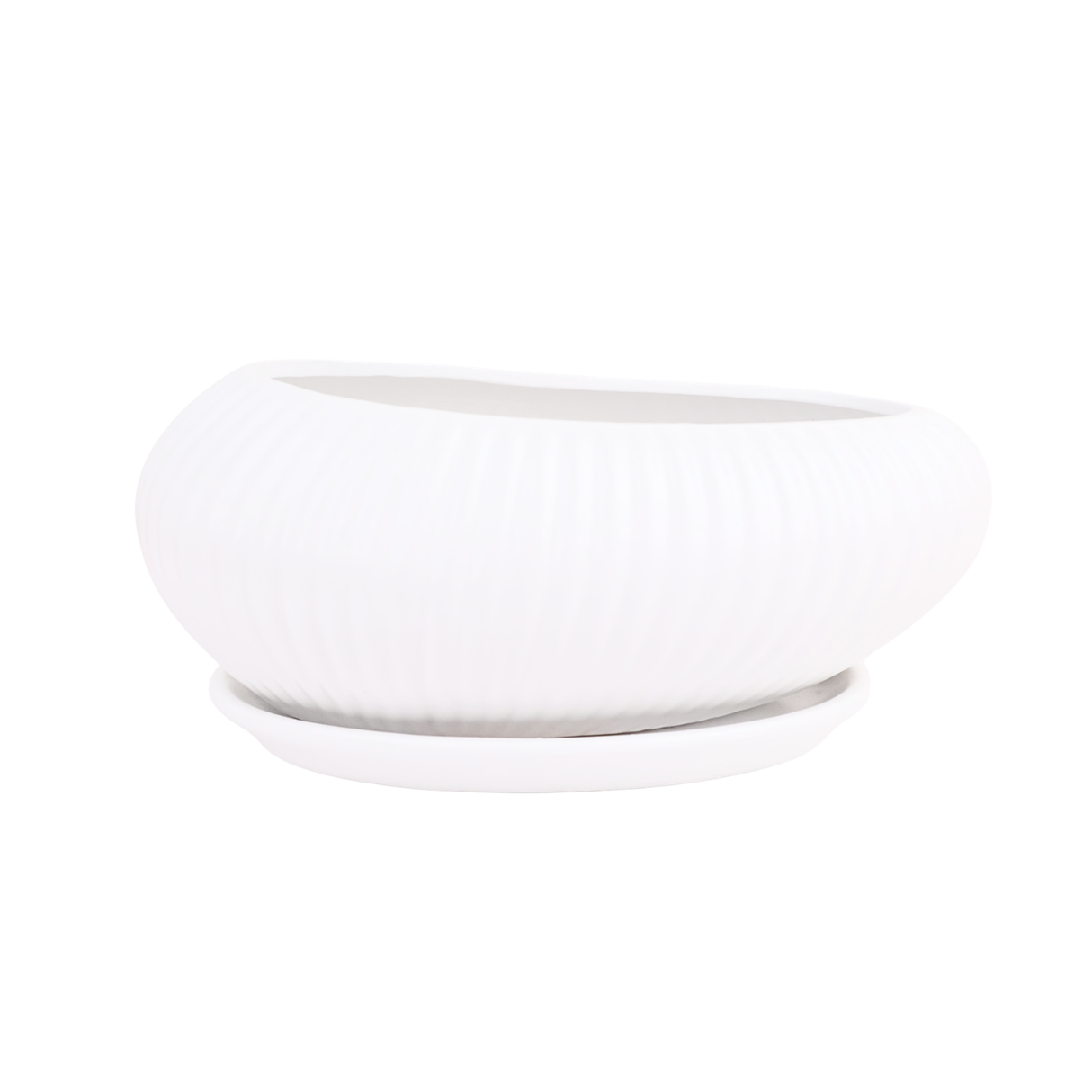 Curve Ribble Ceramic Pot