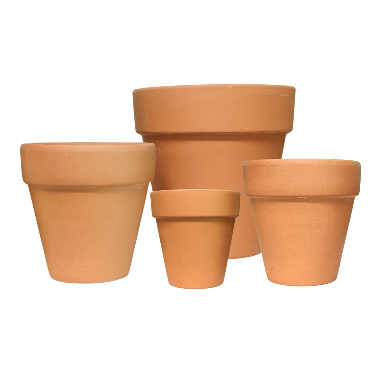 TerraCotta Pot